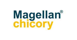 Magellan chicory